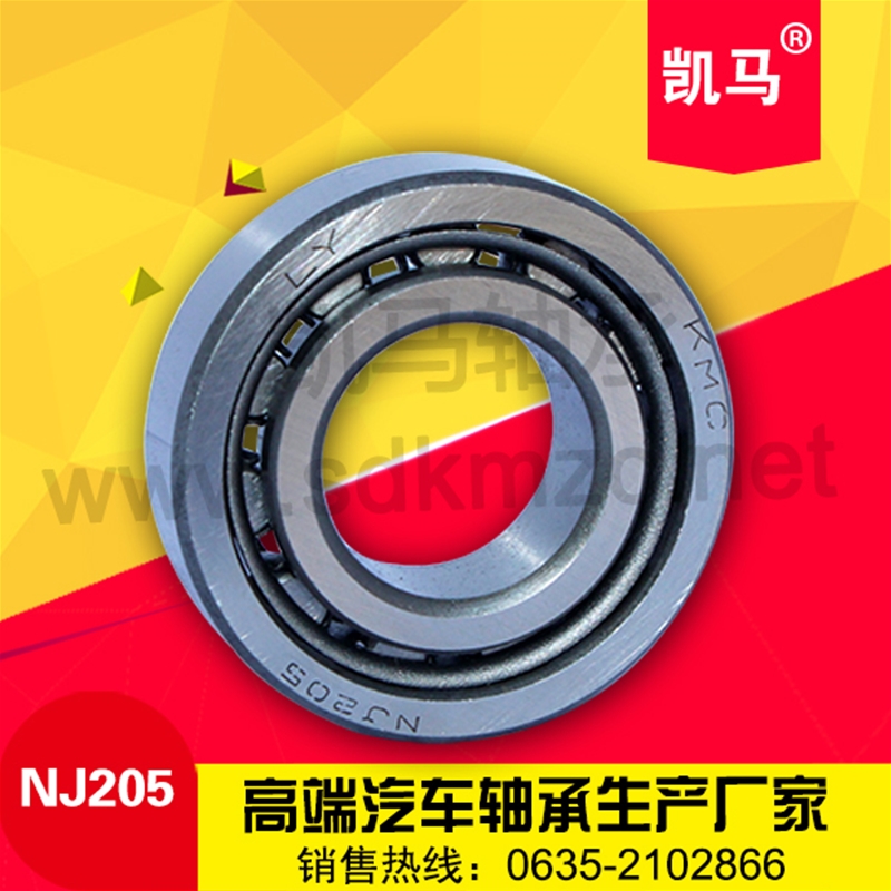 圓柱滾子軸承NJ205